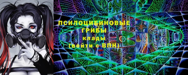 spice Карпинск