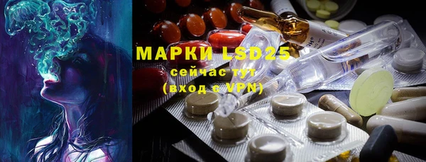 spice Карпинск