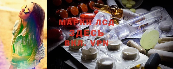 spice Карпинск