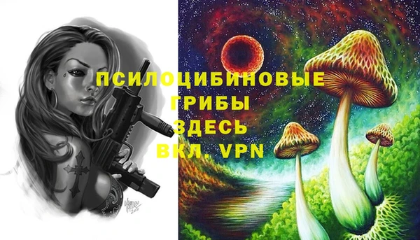 соль ск Карталы